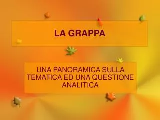 una panoramica sulla tematica ed una questione analitica