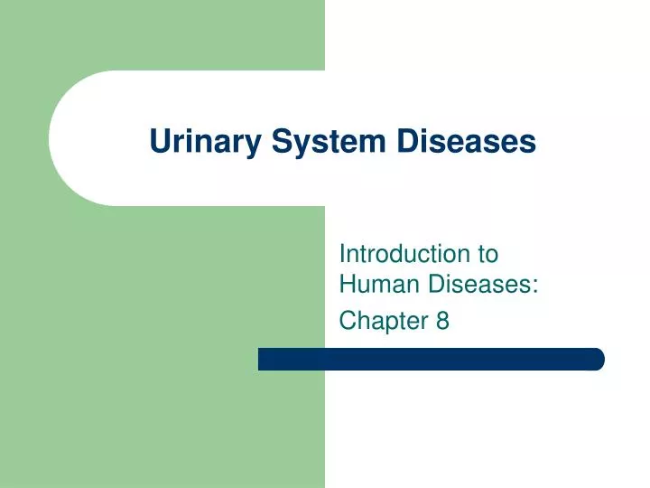 urinary system diseases