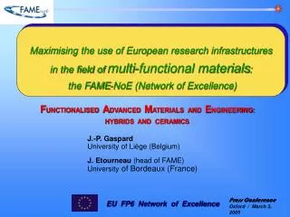 Maximising the use of European research infrastructures