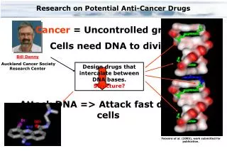Research on Potential Anti-Cancer Drugs