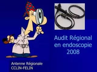 audit r gional en endoscopie 2008