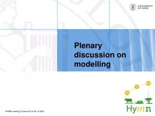 Plenary discussion on modelling