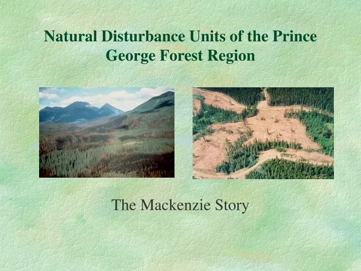 natural disturbance units of the prince george forest region