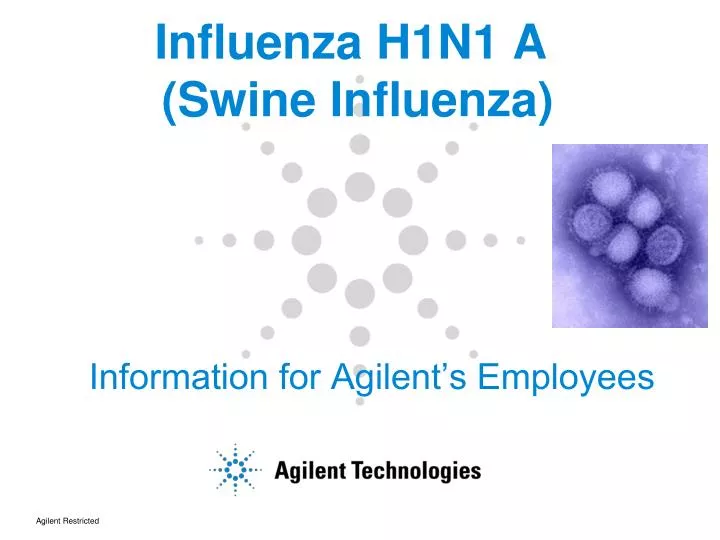 influenza h1n1 a swine influenza