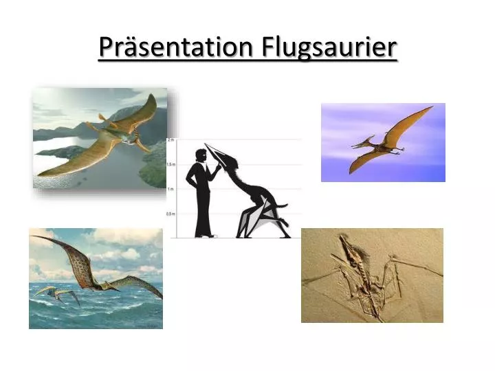 pr sentation flugsaurier