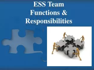 ESS Team Functions &amp; Responsibilities