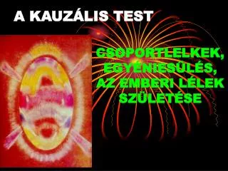 a kauz lis test