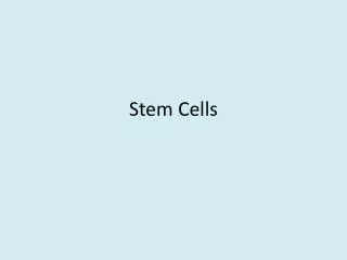 stem cells