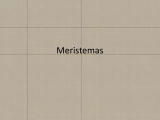 meristemas