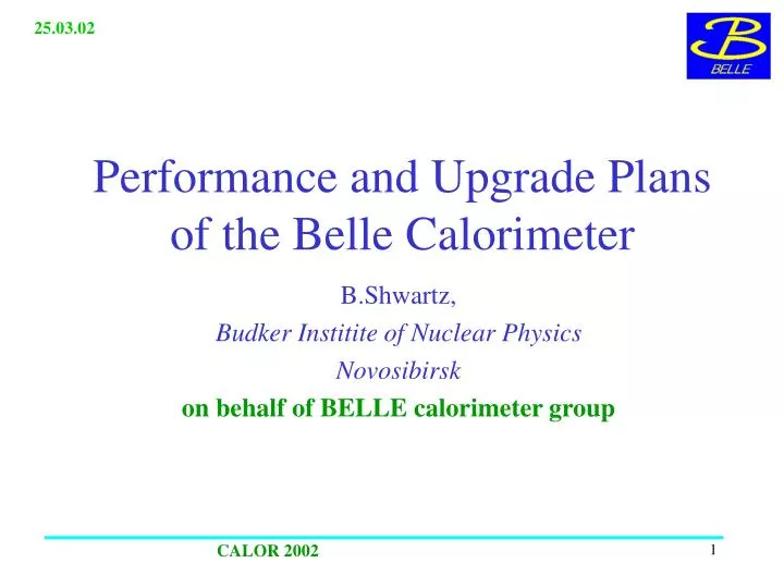 performance and upgrade plans of the belle calorimeter
