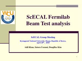 ScECAL Fermilab Beam Test analysis