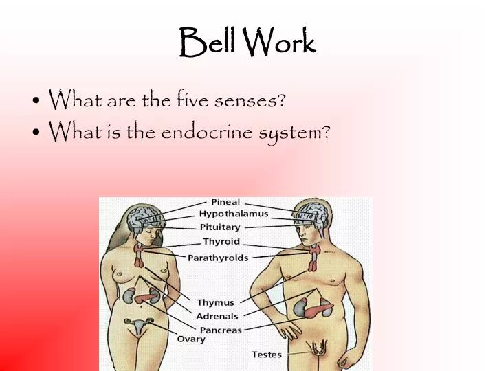 bell work