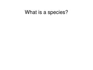 What is a species?