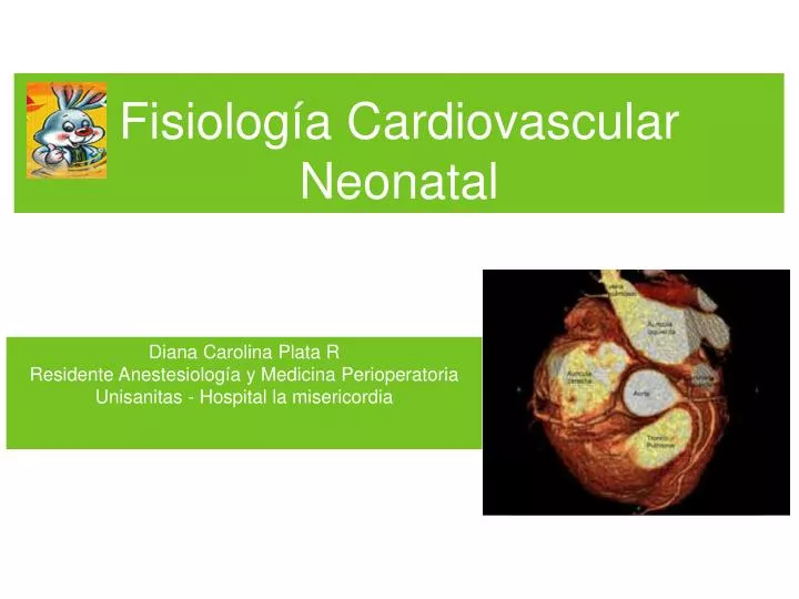 fisiolog a cardiovascular neonatal
