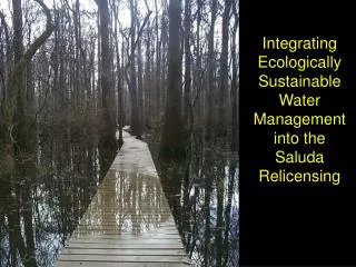 Integrating Ecologically Sustainable Water Management into the Saluda Relicensing