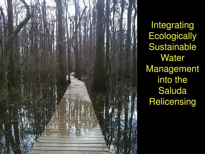 integrating ecologically sustainable water management into the saluda relicensing