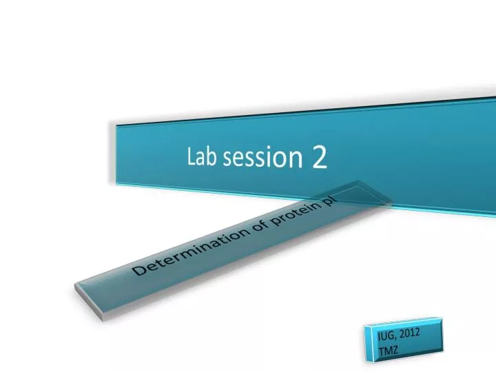 lab session 2