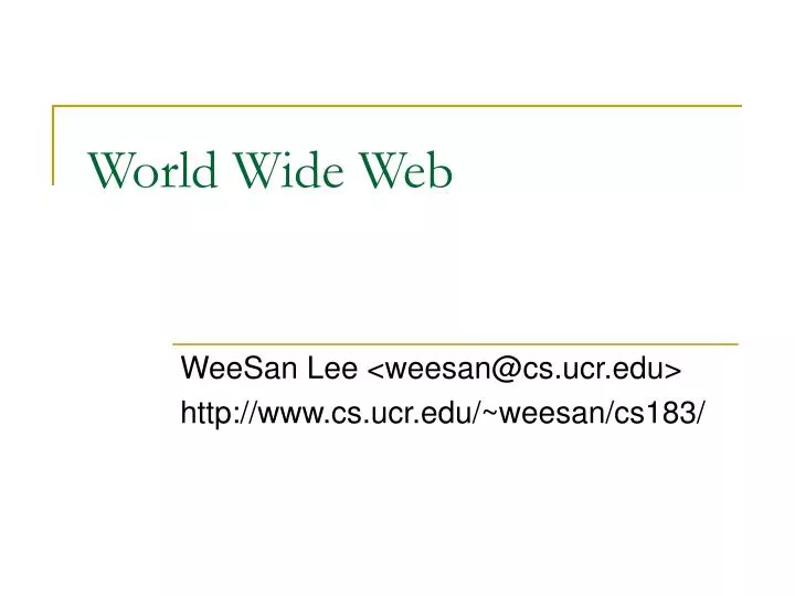 world wide web