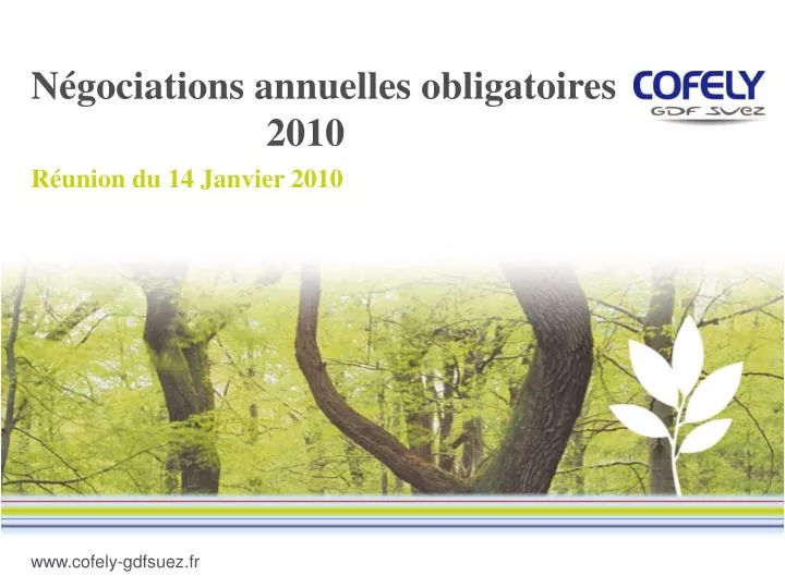 n gociations annuelles obligatoires 2010