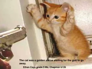 The cat was a golden statue waiting for the gun to go away.