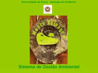 sistema de gest o ambiental