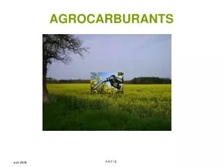 agrocarburants