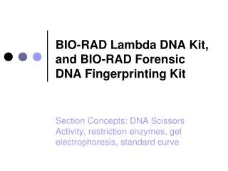 BIO-RAD Lambda DNA Kit, and BIO-RAD Forensic DNA Fingerprinting Kit