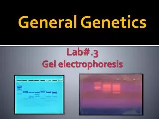 Lab#.3 Gel electrophoresis