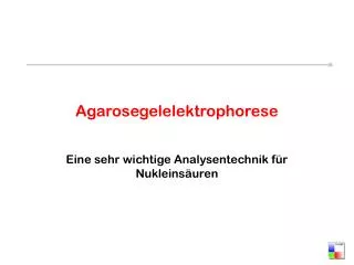 agarosegelelektrophorese