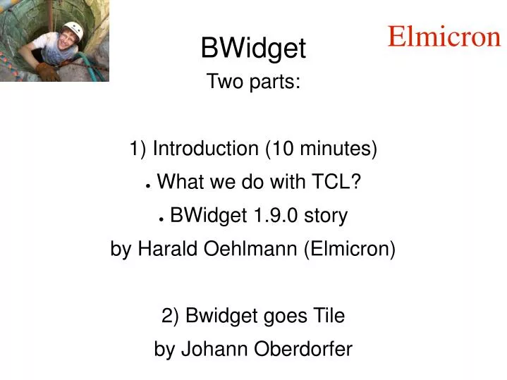 bwidget