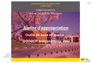 atelier d appropriation o utils de base en qualit qqoqcp brainstorming vote