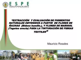 mauricio rosales
