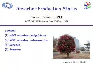 Absorber Production Status