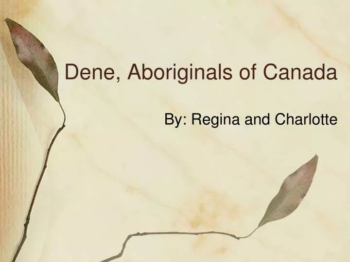 dene aboriginals of canada