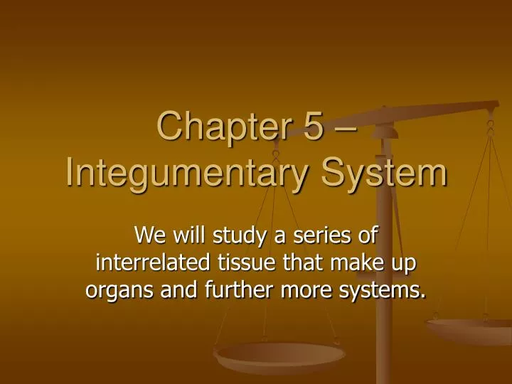 chapter 5 integumentary system