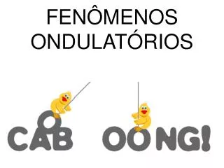fen menos ondulat rios