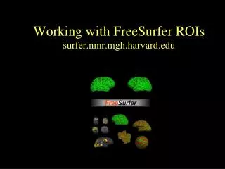 Working with FreeSurfer ROIs surfer.nmr.mgh.harvard