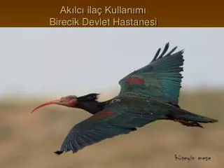 ak lc ila kullan m birecik devlet hastanesi
