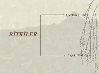 b tk ler