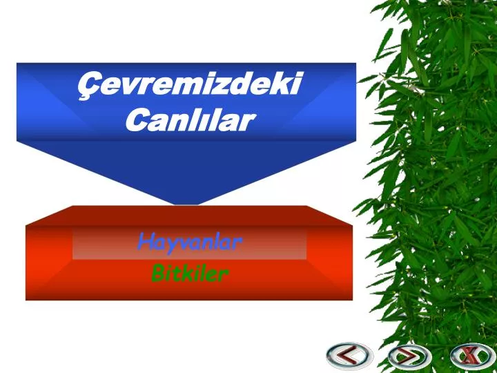 evremizdeki canl lar