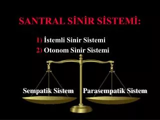 santral s n r s stem