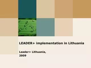 LEADER+ implementation in Lithuania