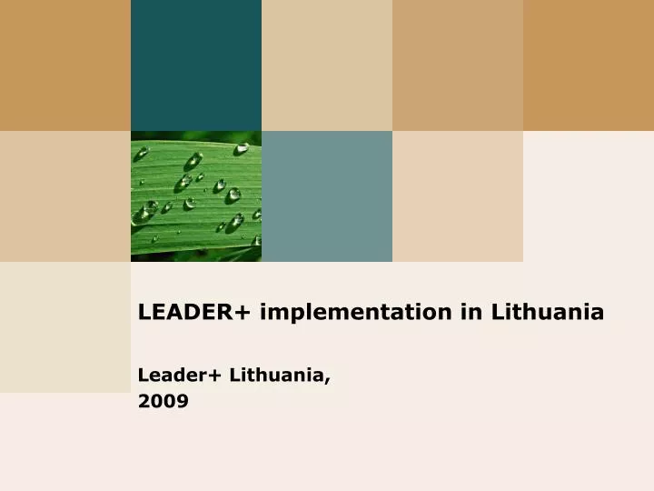 leader implementation in lithuania