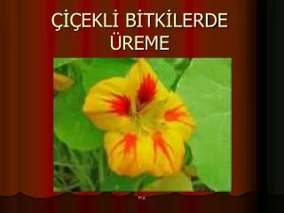 ekl b tk lerde reme