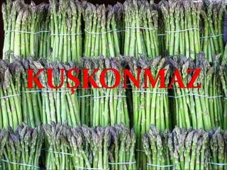 ku konmaz