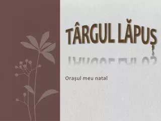 t rgul l pu