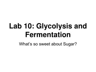Lab 10: Glycolysis and Fermentation