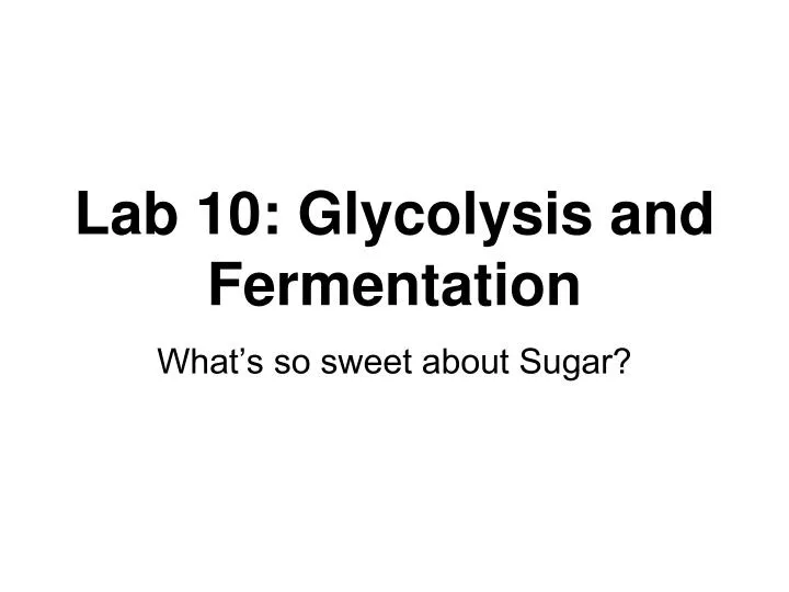 lab 10 glycolysis and fermentation