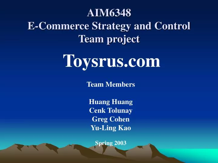 aim6348 e commerce strategy and control team project