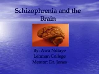Schizophrenia and the Brain